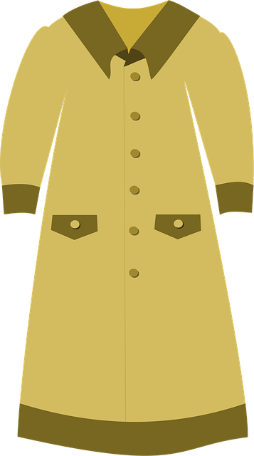 Free long dress fashion light brown illustration