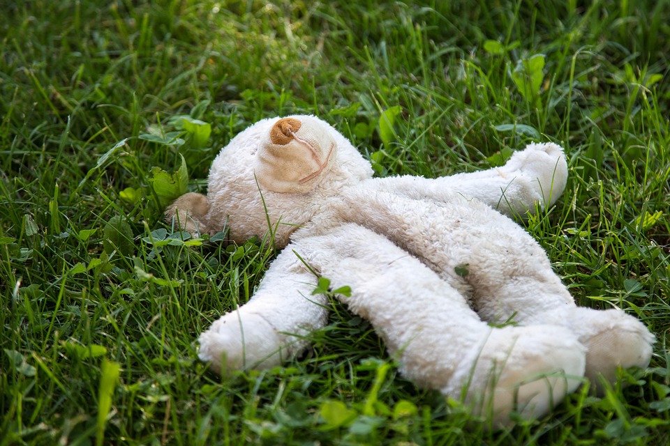 Teddy Bear Cuddly Toy - Free photo on Pixabay - Pixabay