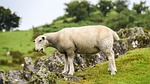 scotland, england, highlands and islands
