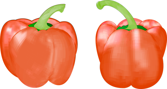 Free Fruit Vegetable vector and picture