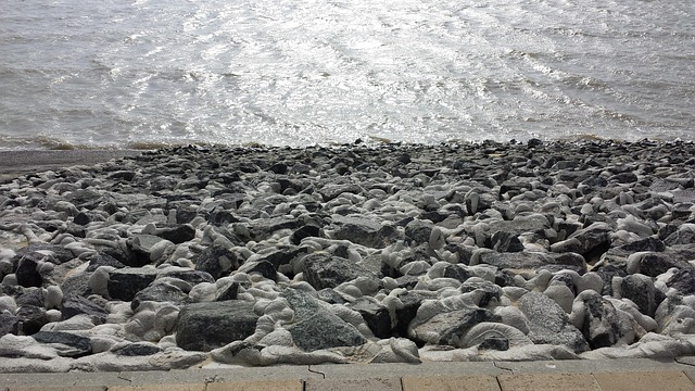 Free North Sea Ebb photo and picture