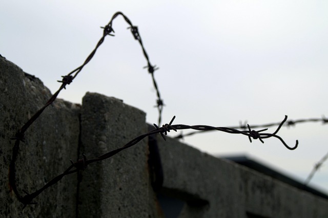 Free Barbed Wire Close photo and picture