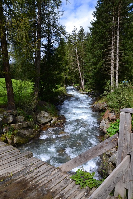Free Flow Landscape photo and picture