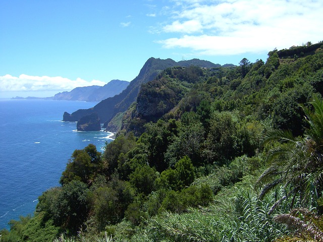 Free Coast Sea photo and picture