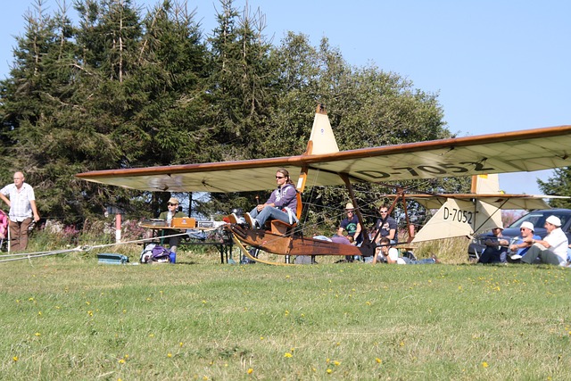 Free Flying Glider photo and picture