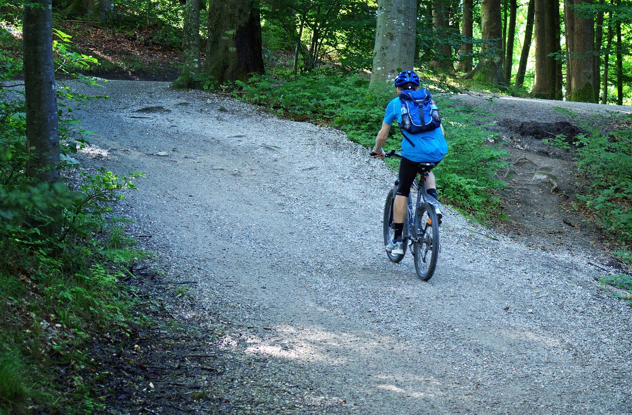 Mountain Bike To Go Biking Bicycle Free photo on Pixabay Pixabay