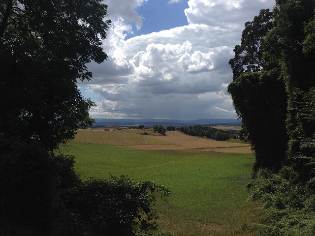 Forest Glade, Of Kijk, Wolken