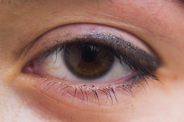 Free Eye Eyelashes photo and picture
