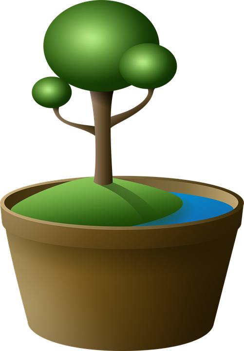 Download Tree, Bonsai, Vase. Royalty-Free Stock Illustration Image - Pixabay