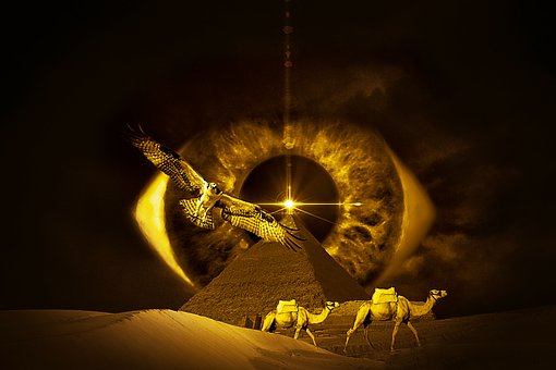 Free Eye Falcon illustration and picture
