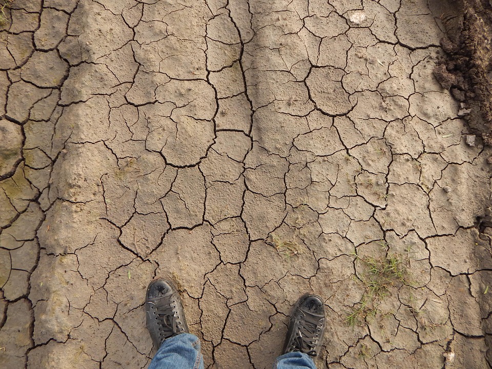 Tierra, Sequía, Sequedad, Infertilidad, Suelo