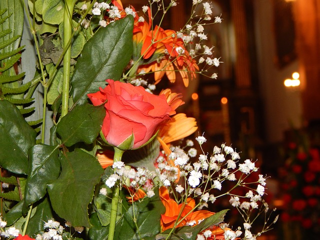 Rosa, Flor, Assoalhos, Flores, Ervas