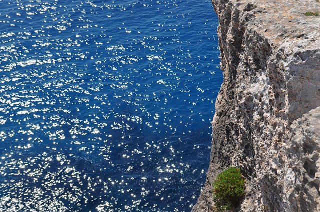 Free Sea Rock Face photo and picture