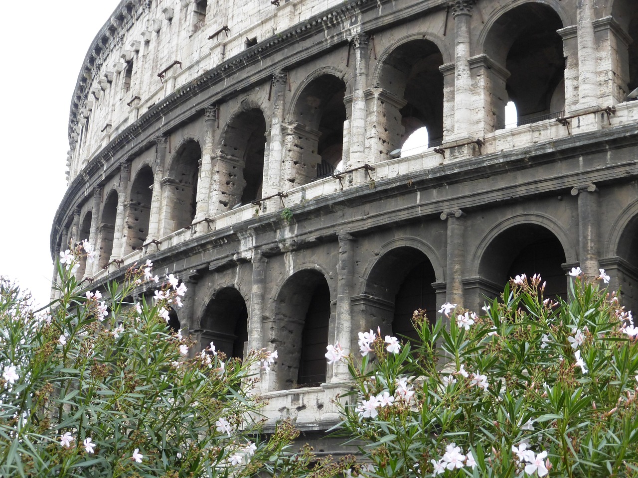 Italy Rome Coliseum - Free photo on Pixabay - Pixabay