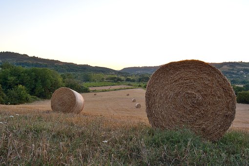 Land, Ballen, Landschaft, Runden, Felder