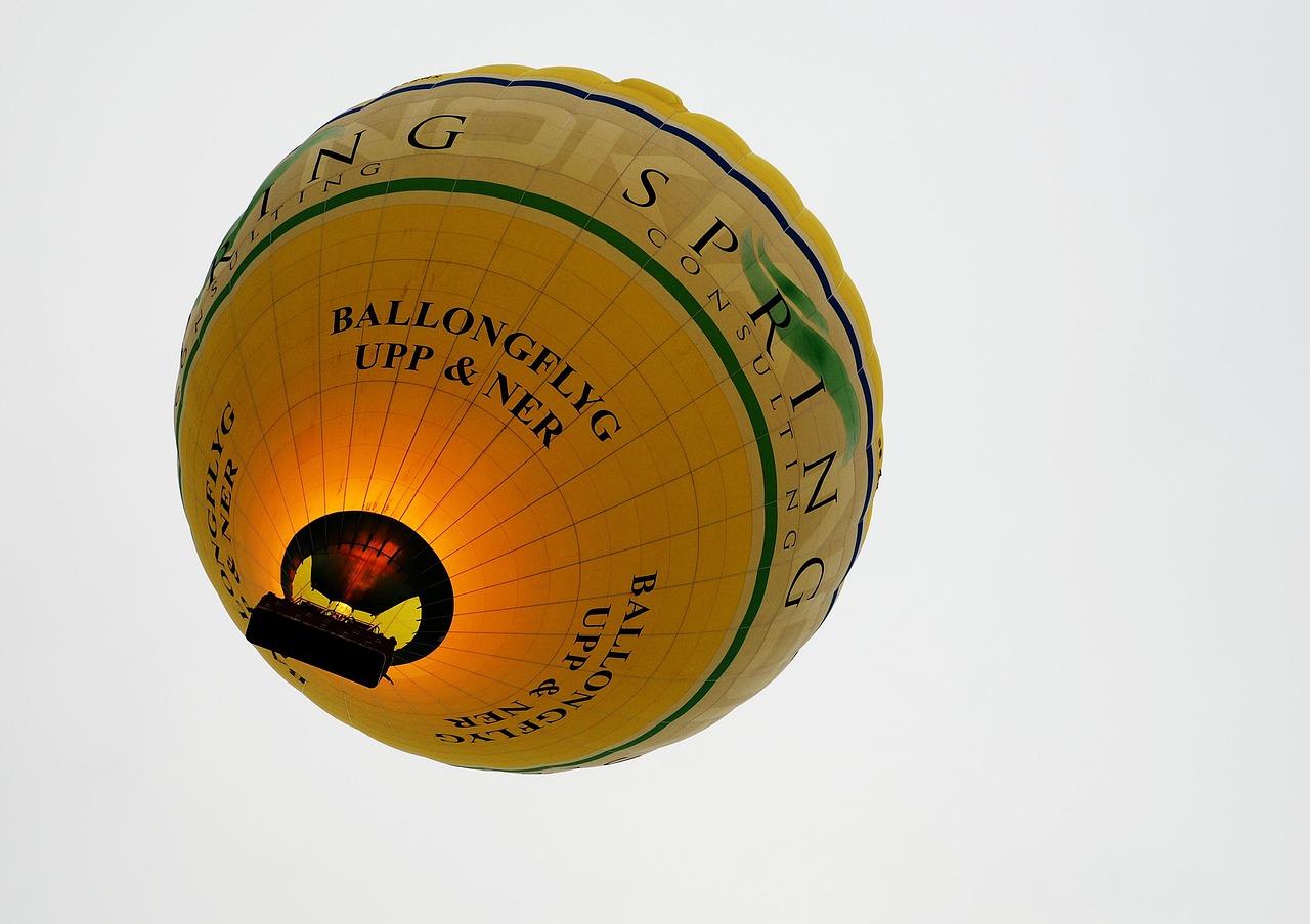 Balloon - free online jigsaw puzzle photo