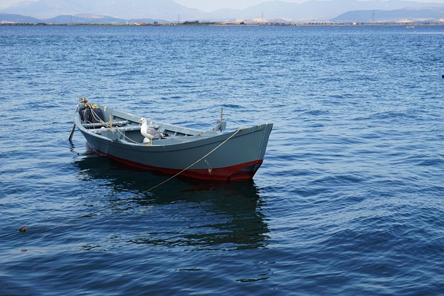 Free Boat Sea photo and picture