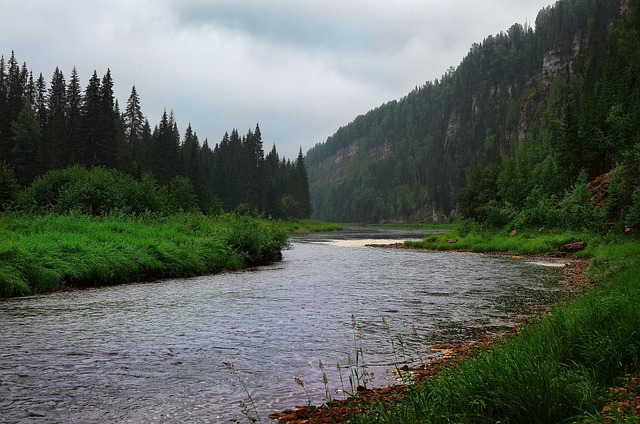Free Usva River photo and picture