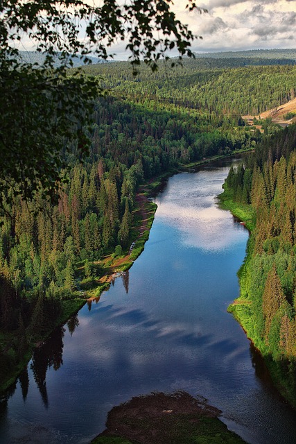 Free Usva Mountain River photo and picture