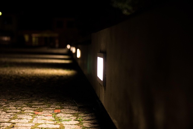 Free Light Night photo and picture