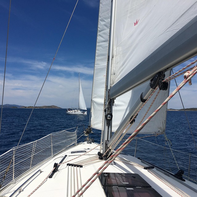 Free Sail Summer photo and picture