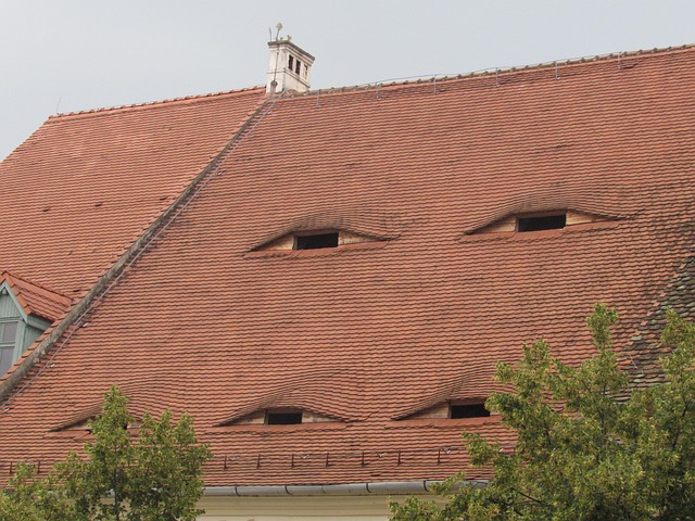 Sibiu, Transilvania, Rumania, Techo