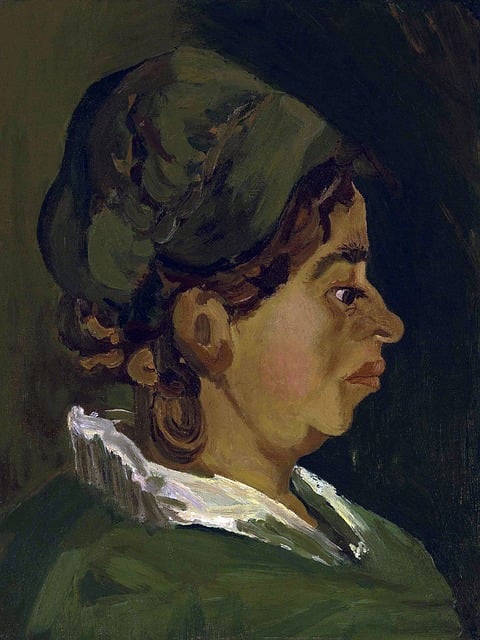 Free head of a peasant woman right profile van gogh illustration