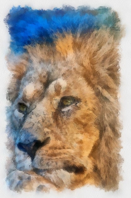 Free Lion Animals illustration and picture