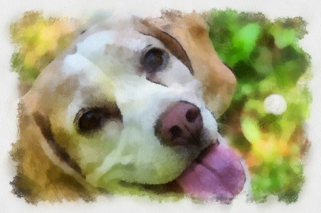Free Beagle Nature illustration and picture