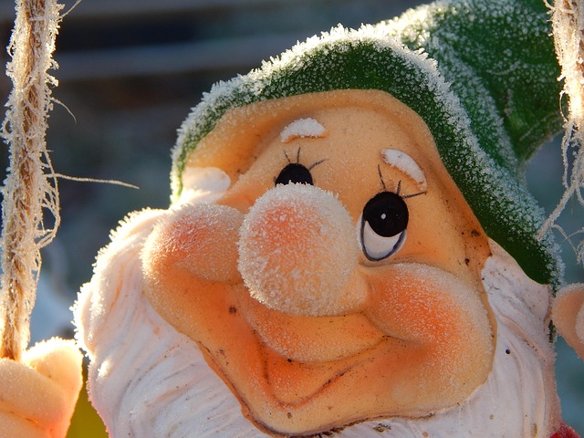 frost on gnome, frost, gnome