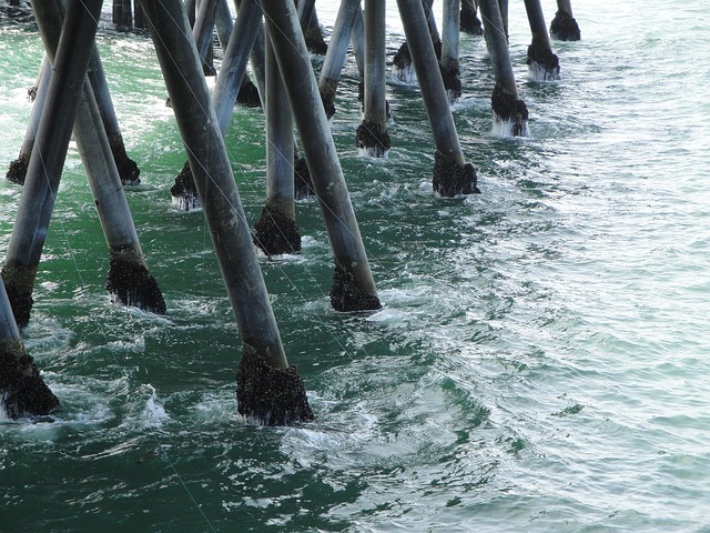 Free Beach Harbor photo and picture