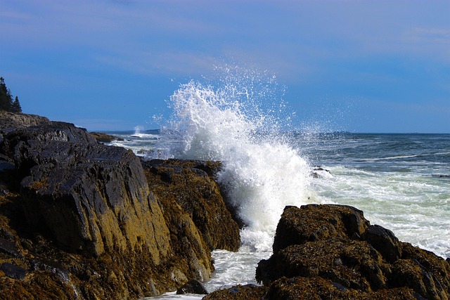 Free Ocean Spray Ocean photo and picture