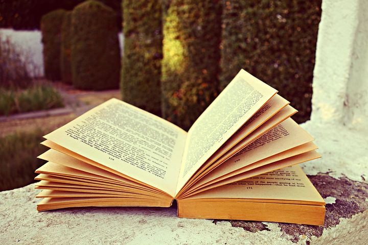 Plus De 500 Images De Livre Ouvert Et De Livre Pixabay