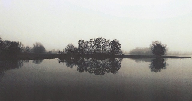 Sø, Tåge, Natur, Landskab, Vinter
