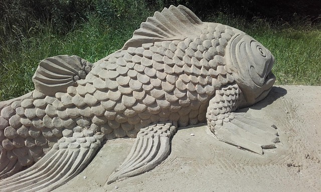 Free Fish Sand photo and picture