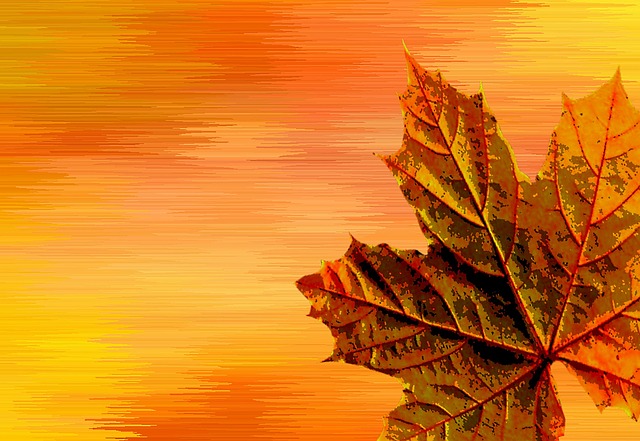Herbst, Herbstfarben, Blätter