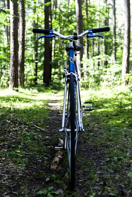 Free Road Bike Vintage photo and picture