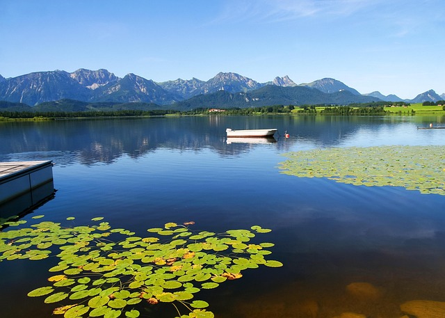 Free Bavaria Allgäu photo and picture