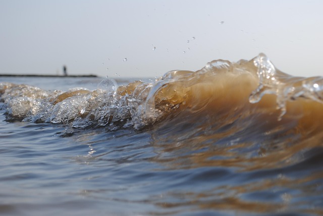 Free Norderney Wave photo and picture