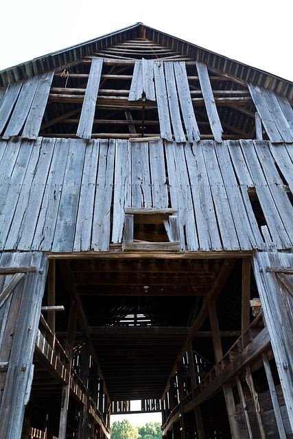 Free Barn Rural photo and picture