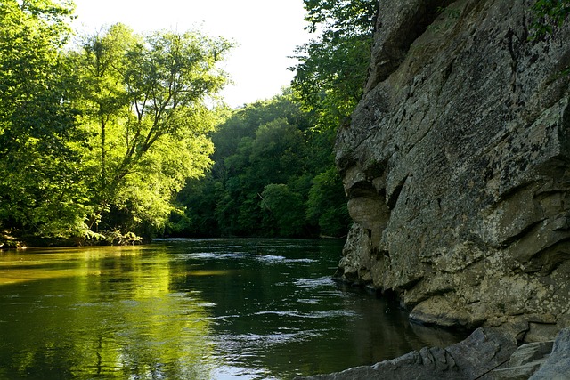 Free River Water photo and picture