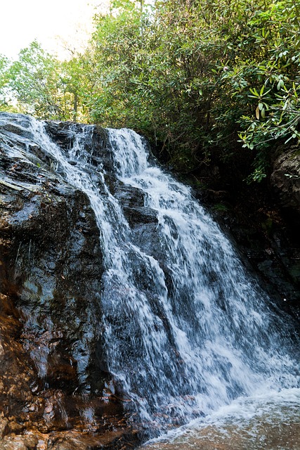 Free Waterfall Mountain photo and picture