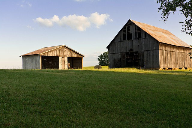 Free Barn Country photo and picture