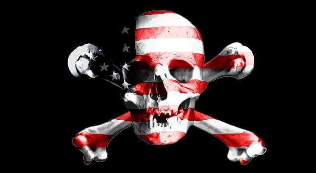 Usa Flagge, Usa, Roger