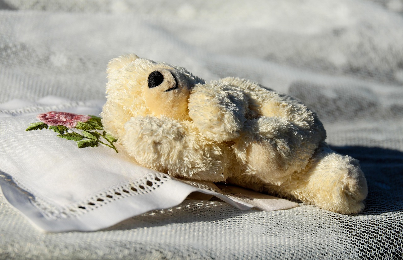Teddy Plush Little Bear - Free photo on Pixabay - Pixabay