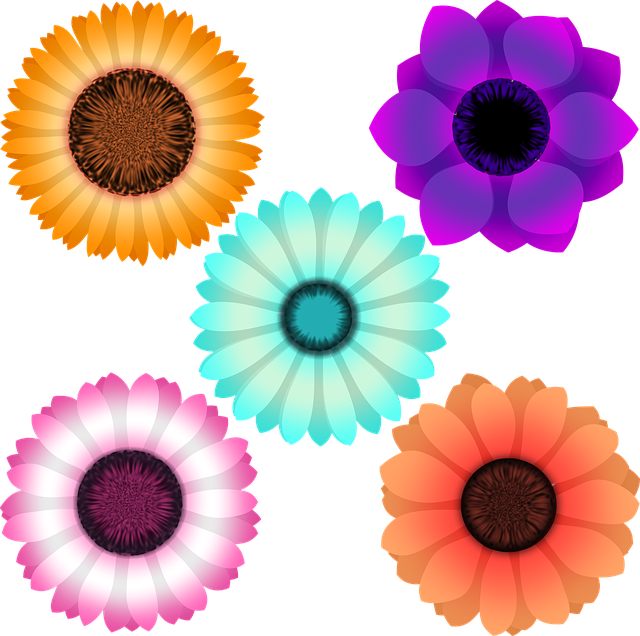 Free Flowers Daisy illustration and picture