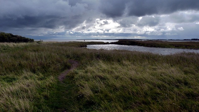 Free Eve Coast photo and picture
