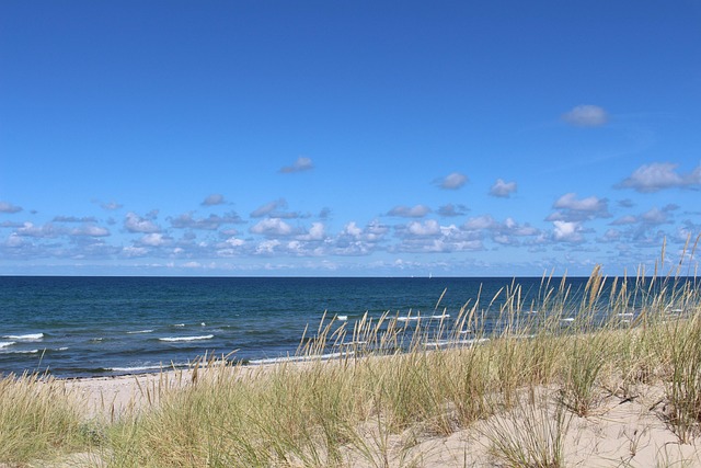 Free Baltic Sea Sea photo and picture