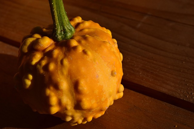 Free Gourd Freestyle Bite photo and picture