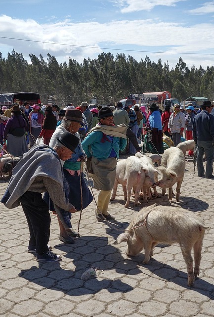 Free Market Ethnic Minority photo and picture
